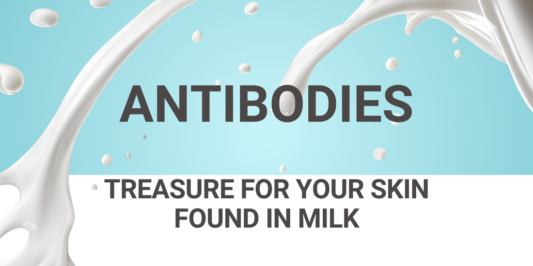 Milk antibodies for skin